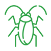 Cucarachas